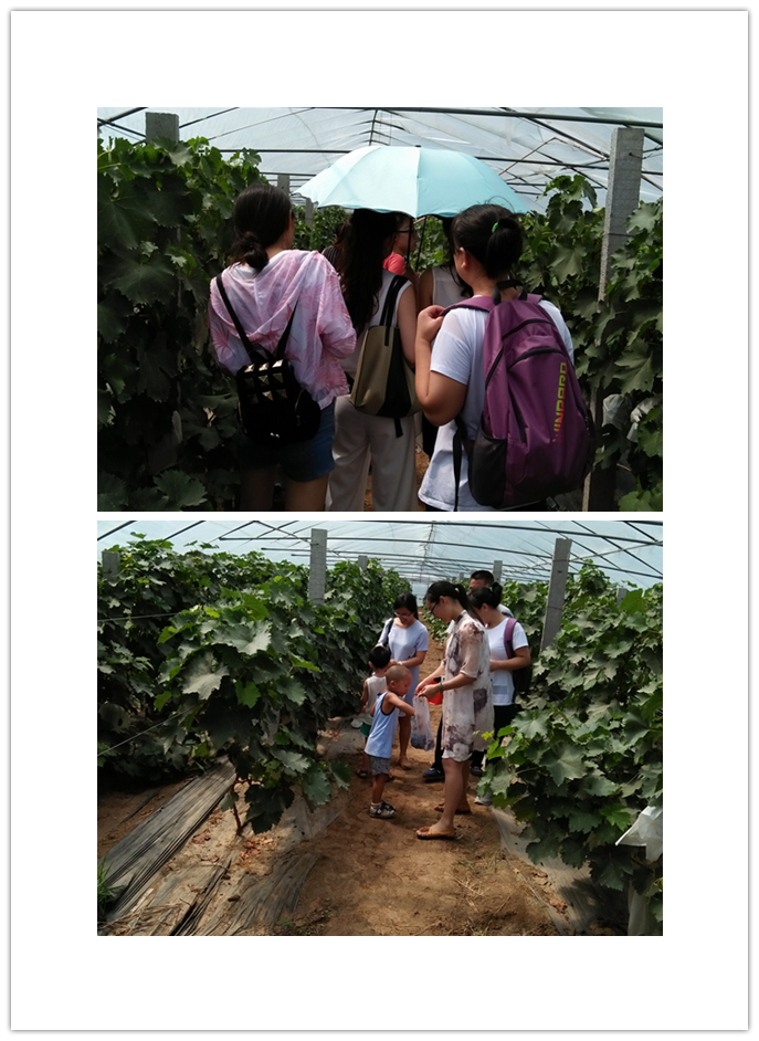 图片6.png